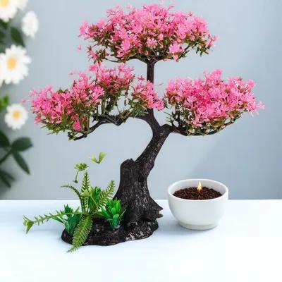 Aquarium Fish Cichlid - Artificial Plants Indoor Aquarium Decoration Fish