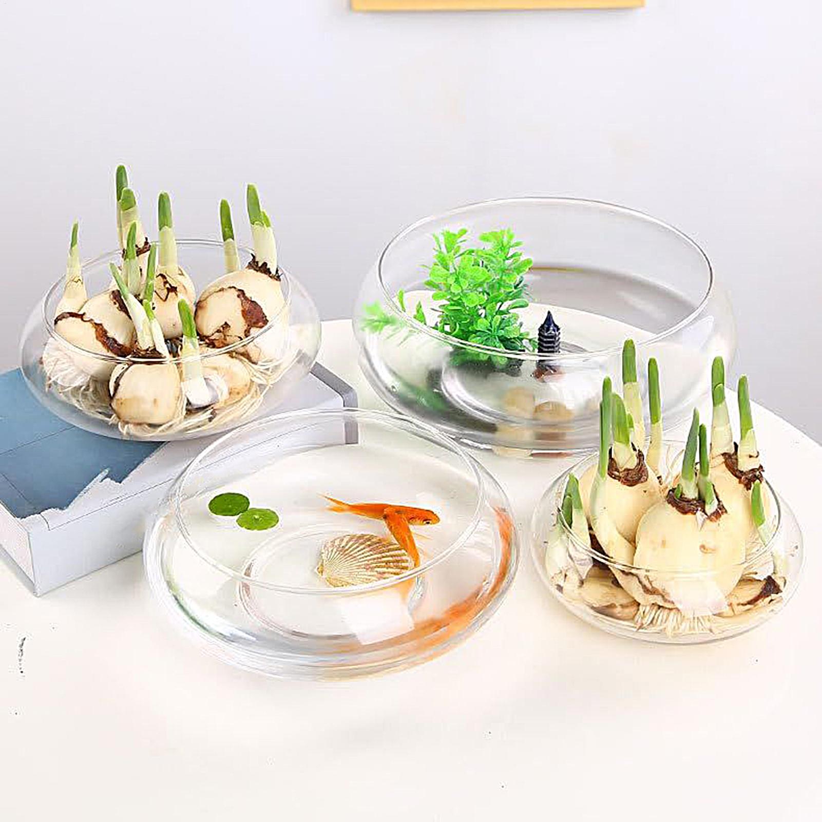 Aquarium Fish Glass - Fish Glass Bowl Glass Large Hydroponics