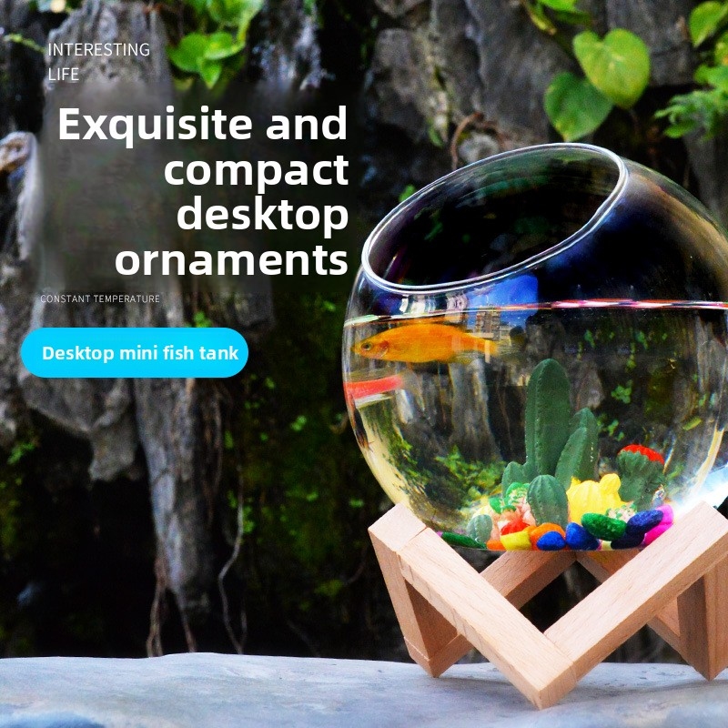 Aquarium Fish Low Maintenance - Mini Desktop Aquarium for Betta Fish