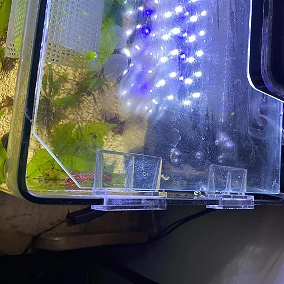 10Pcs Transparent Acrylic Fish - đánh giá và giá Aquarium Fish Glass