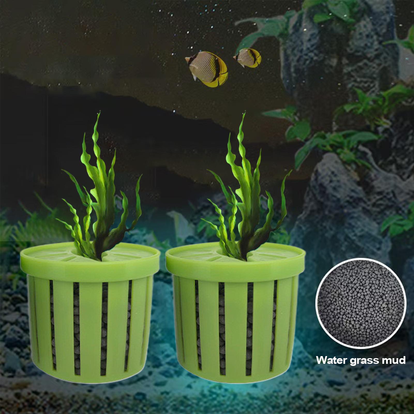 Stable Fish Tank Plant Cup 4pc - đánh giá và giá Aquarium Fish Restaurant
