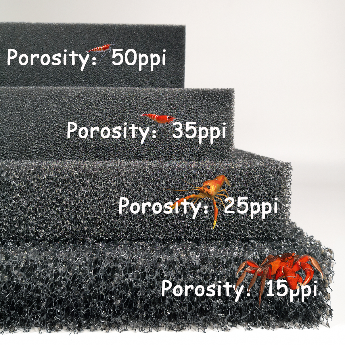 aquarium accessories Practical - đánh giá và giá Aquarium Fish Cichlid