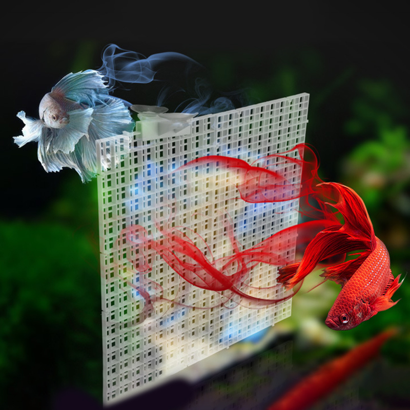 30x15cm 30x30cm Grid Divider P - đánh giá và giá Aquarium Fish Net