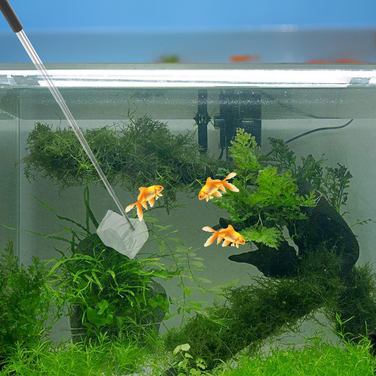 Durable Extendable Shrimp Net  - đánh giá và giá Aquarium Fish Net