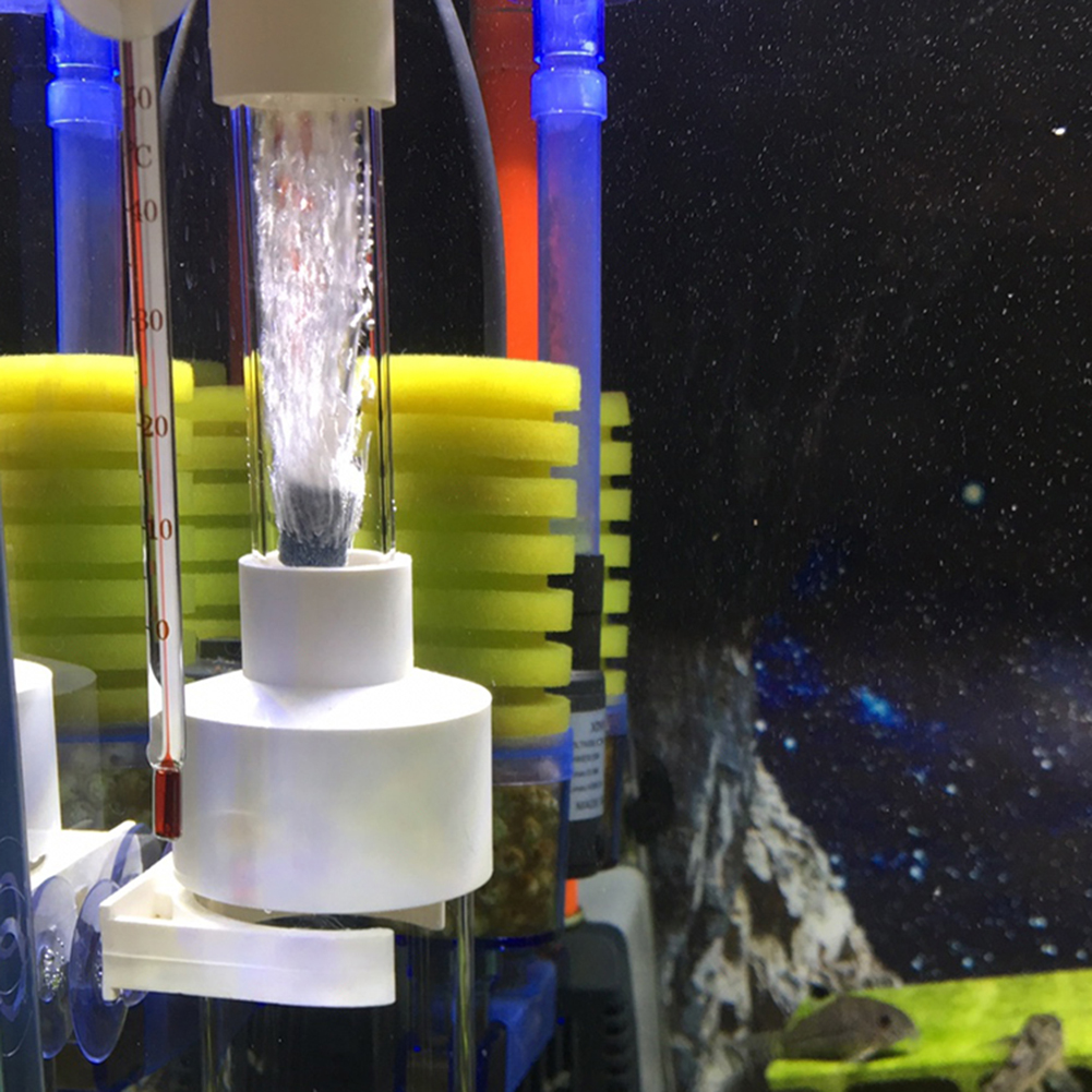 40mm Tumbler Incubator Fish Ha - đánh giá và giá Aquarium Fish Cichlid