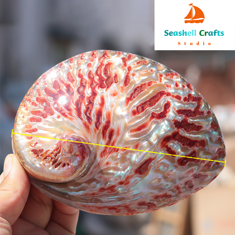 Home Decoration Red Pattern Ab - đánh giá và giá Aquarium Fish Cichlid