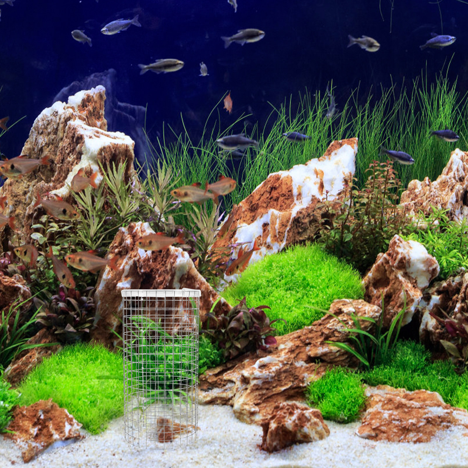 Angelfish Spawning Cone Grid I - đánh giá và giá Aquarium Fish Net Small
