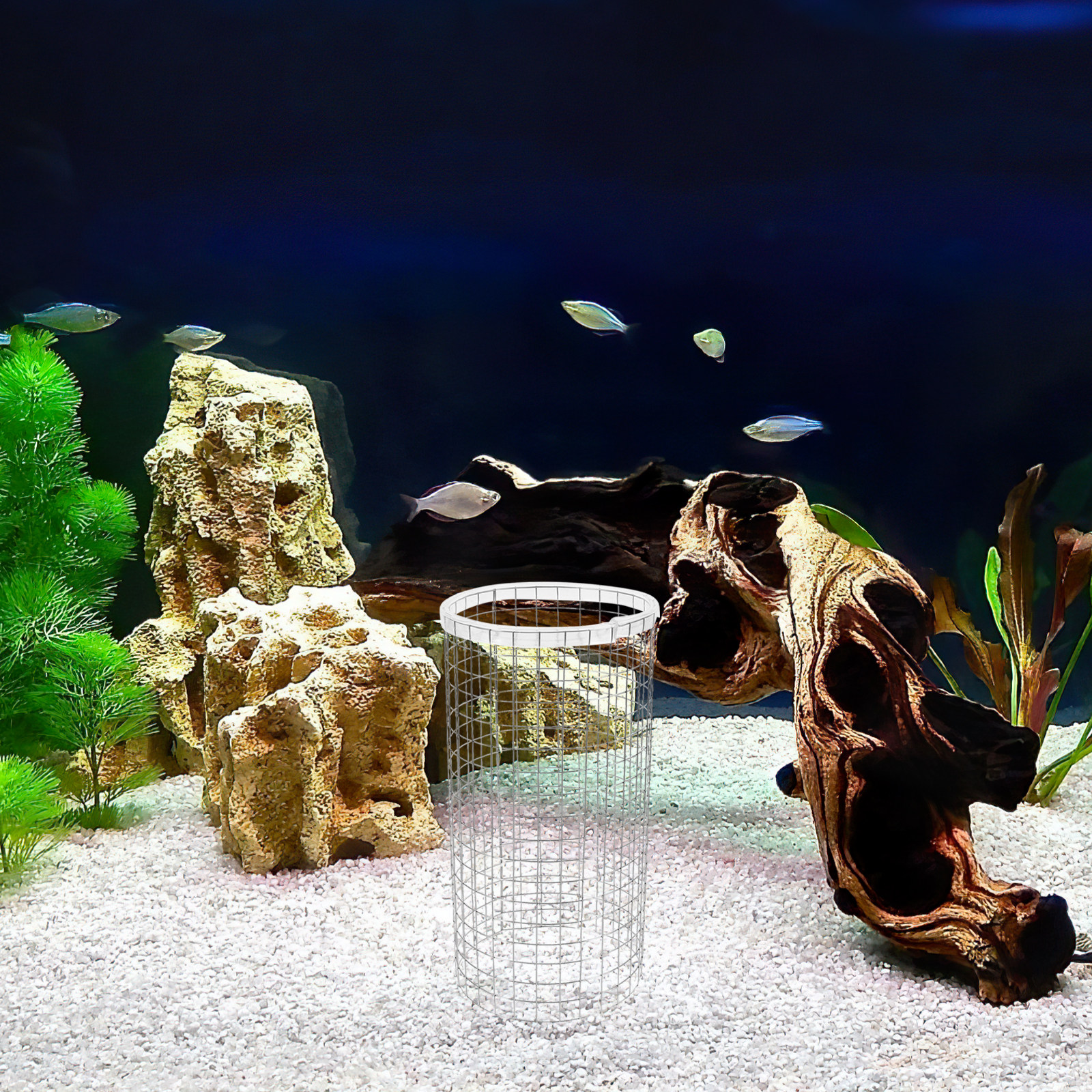 Angelfish Spawning Cone Grid I - đánh giá và giá Aquarium Fish Net Small