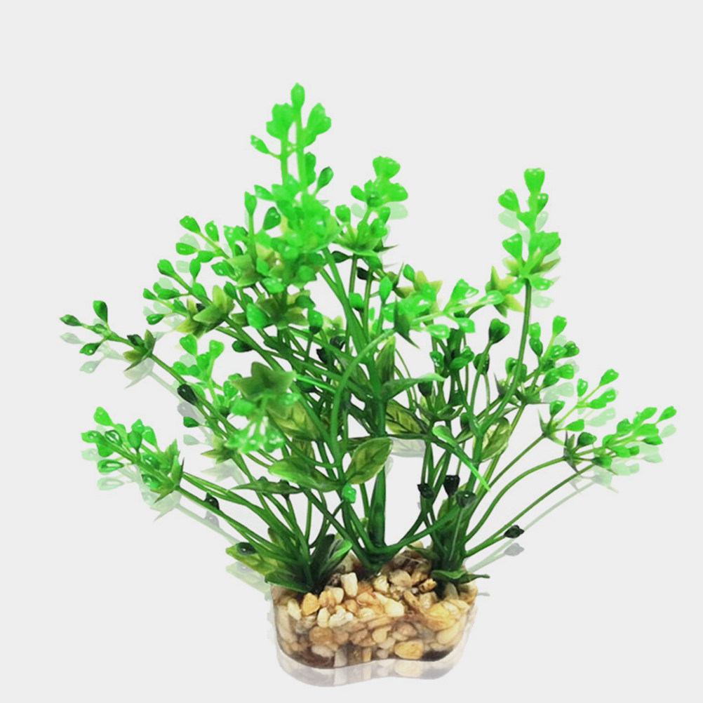 2Pcs Simulated Green Plastic A - đánh giá và giá Aquarium Fish Low Maintenance