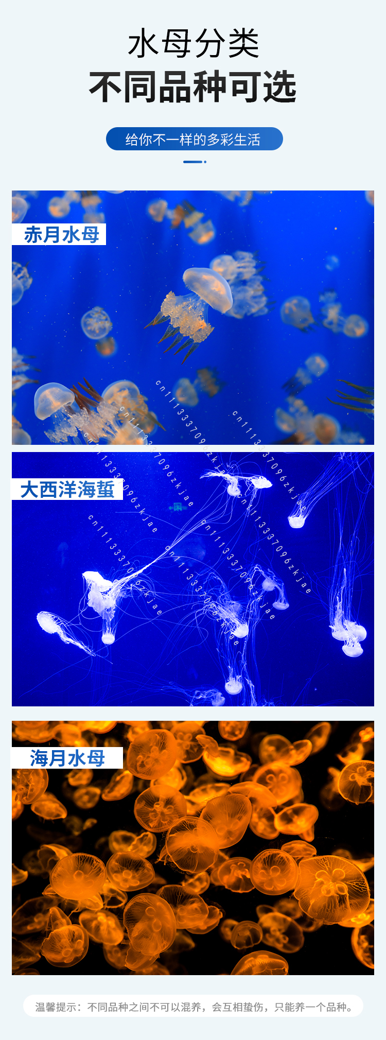 8L/18L/50L Acrylic Jellyfish F - đánh giá và giá Aquarium Fish Glass