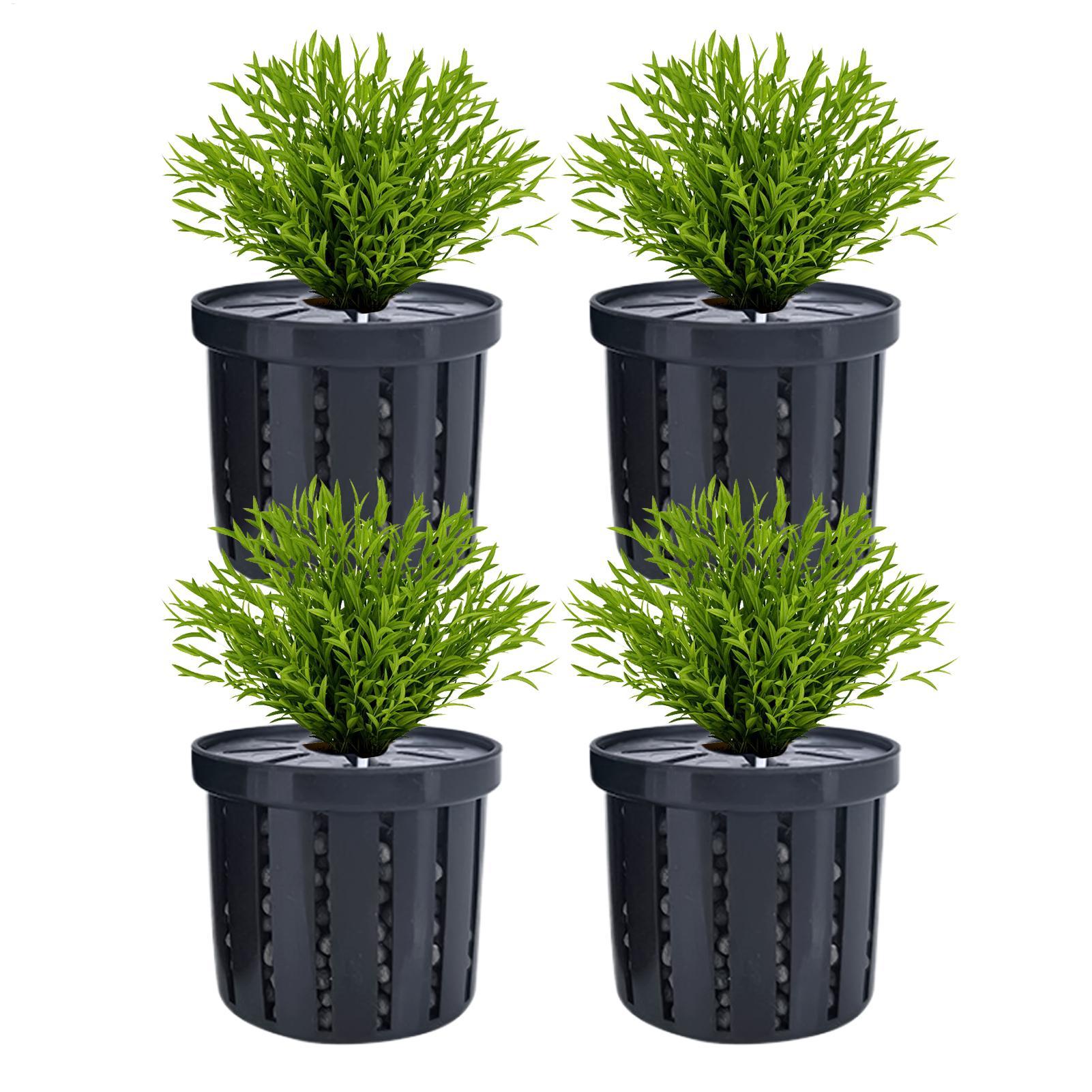4pcs Aquarium Plant Holder Bas - đánh giá và giá Aquarium Fish Restaurant