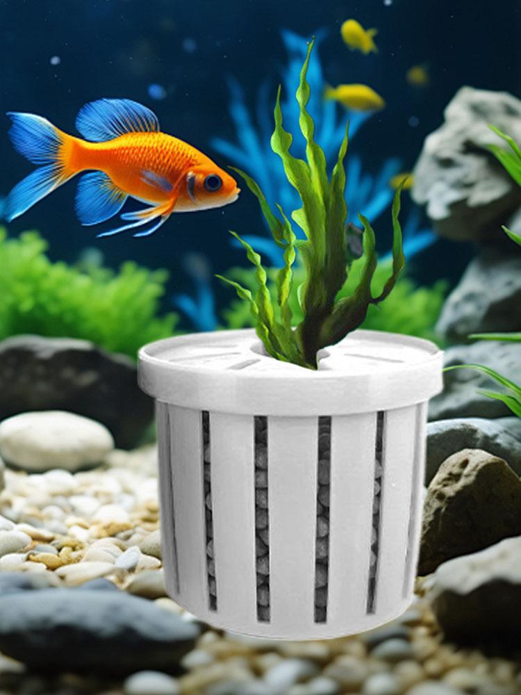 4pcs Aquarium Plant Holder Bas - đánh giá và giá Aquarium Fish Restaurant