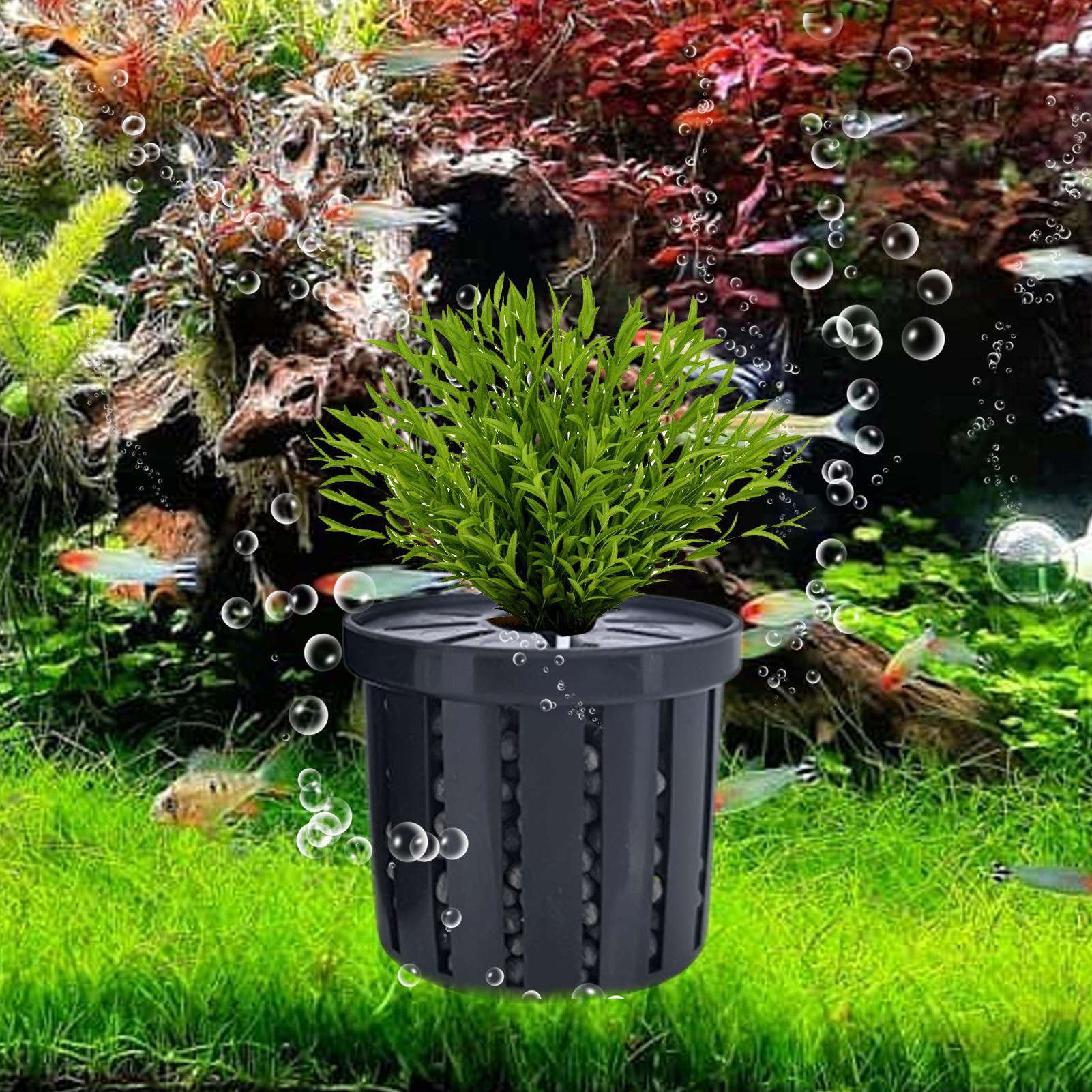 4pcs Aquarium Plant Holder Bas - đánh giá và giá Aquarium Fish Restaurant