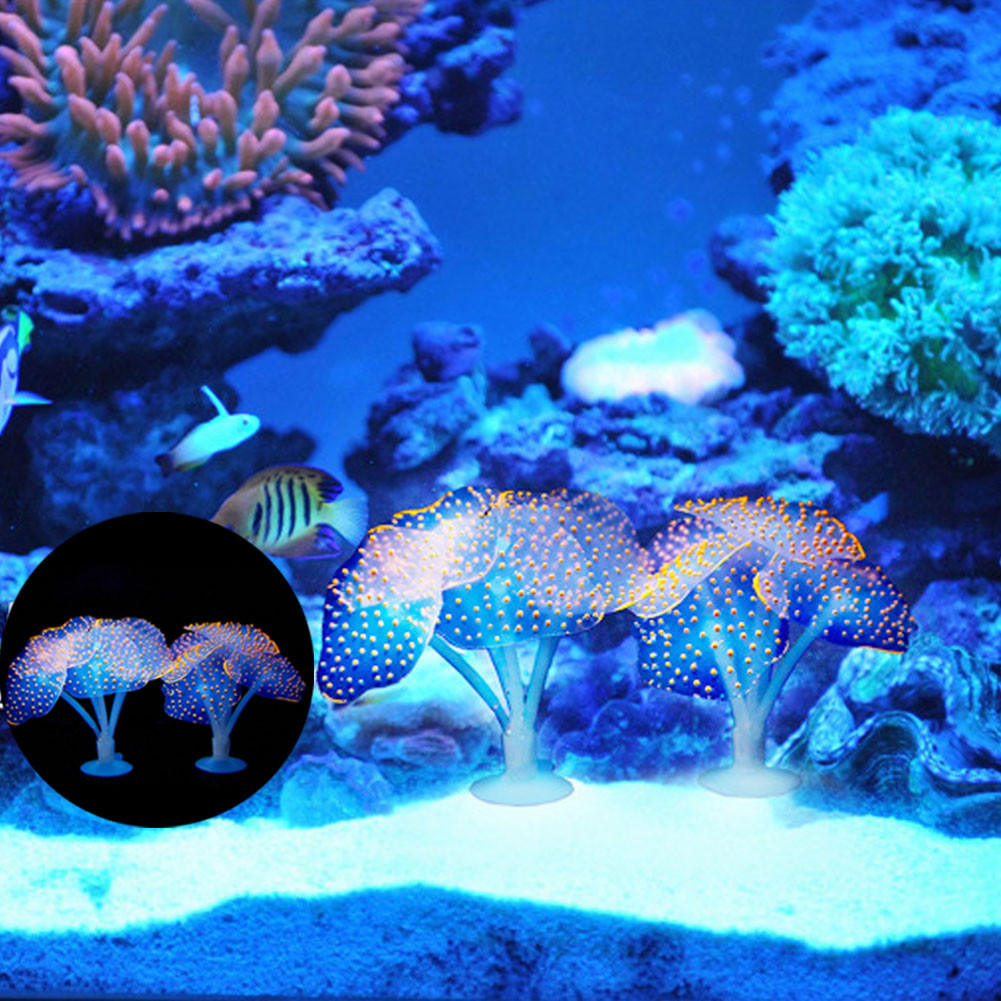 1Pcs Luminous Anemone Artifici - đánh giá và giá Aquarium Fish Artificial