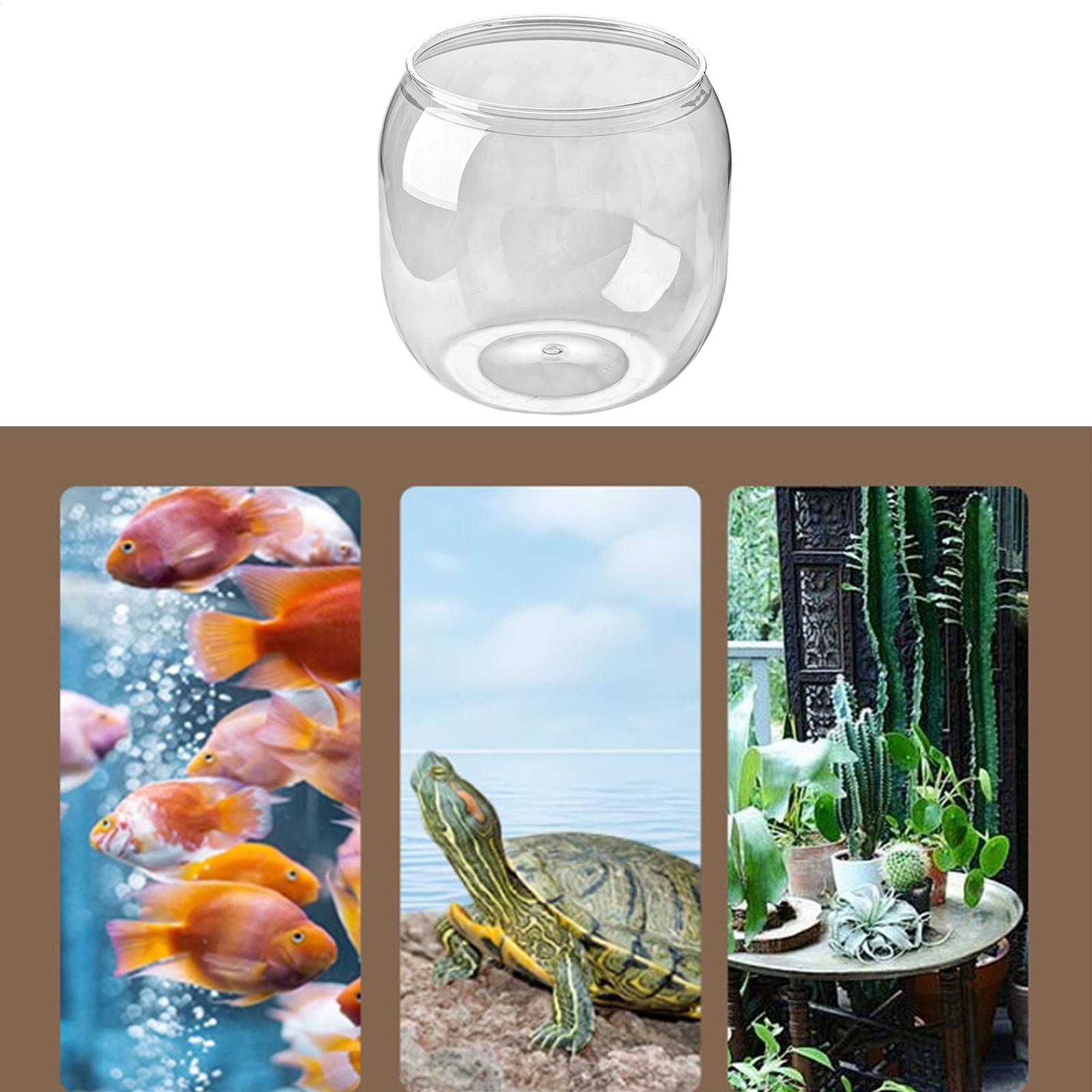 Fish Bowl Decorative Clear Aqu - đánh giá và giá Aquarium Fish Restaurant