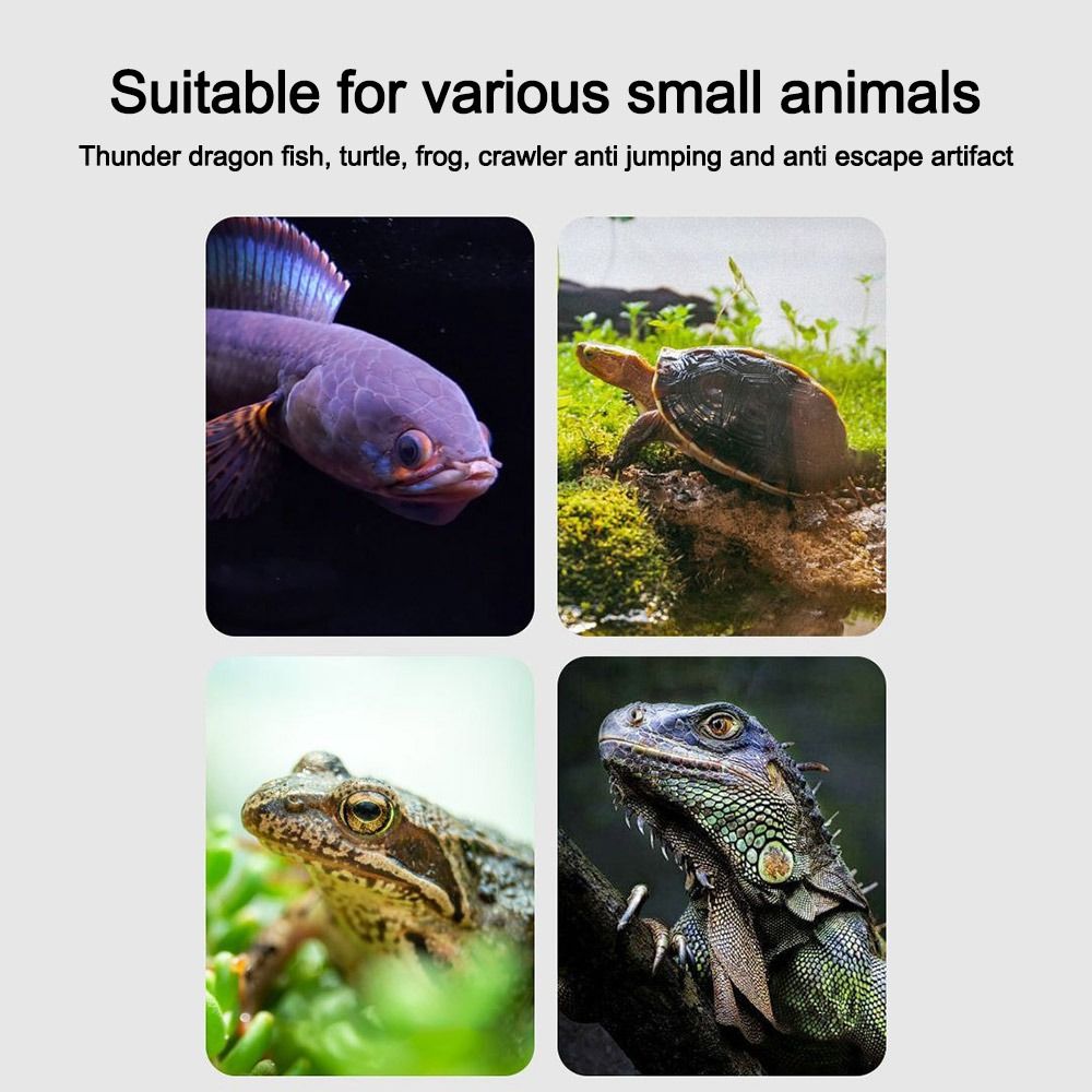 Durable Magnetic Fish Tank Lid - đánh giá và giá Aquarium Fish Net