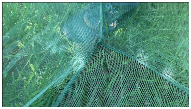 Fishing 3mm Stake Small Mesh C - đánh giá và giá Aquarium Fish Net Small