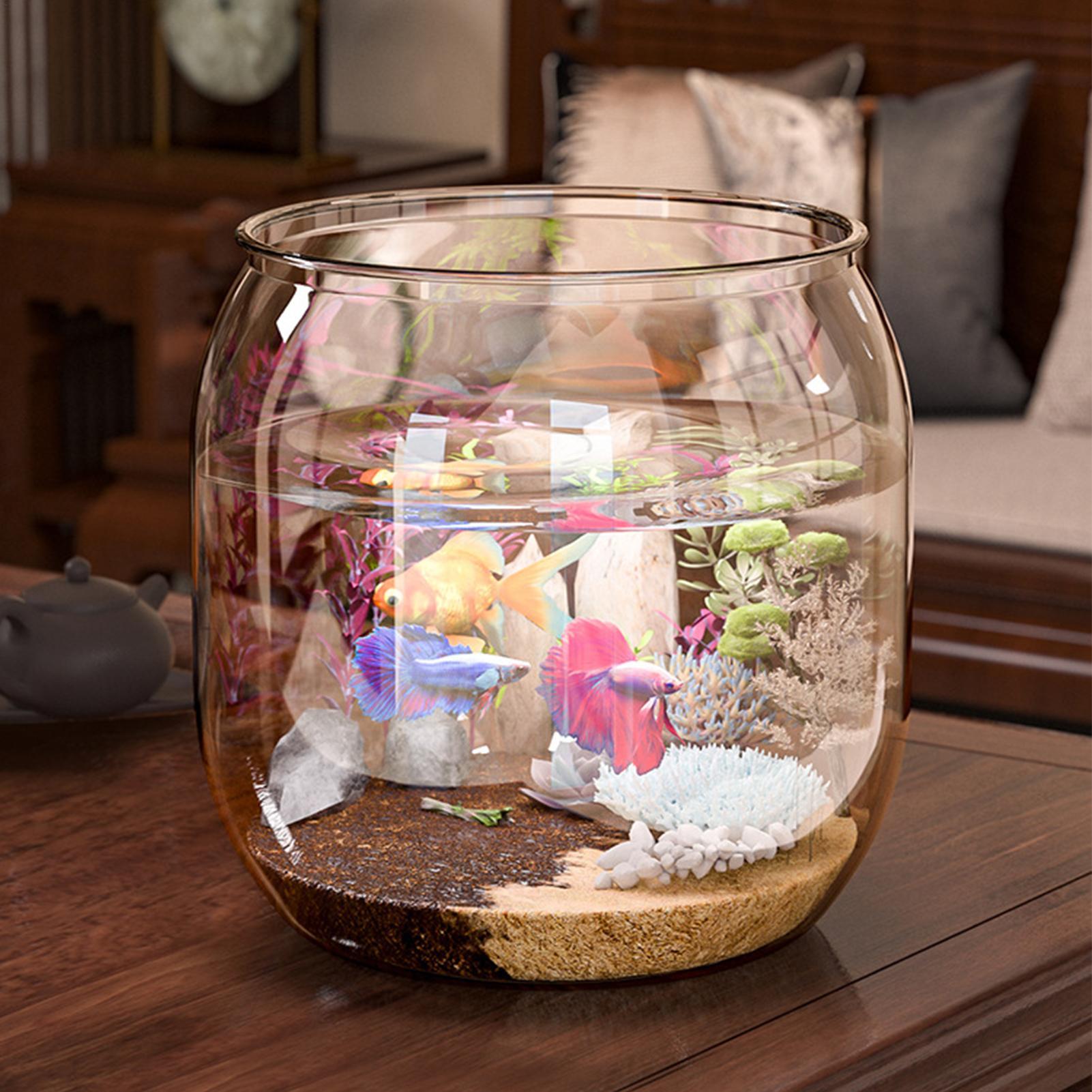 Mini Fish Bowl Decorative Clea - đánh giá và giá Aquarium Fish Restaurant