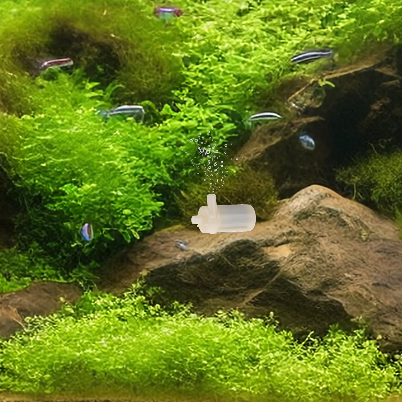 Micro Submersible Pump for Aqu - đánh giá và giá Aquarium Fish Low Maintenance