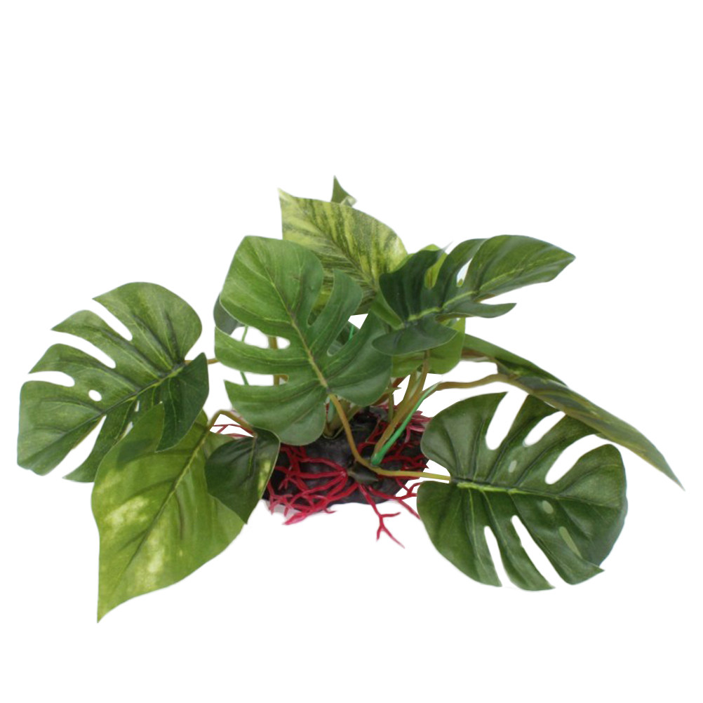 Fish Tank Artificial Plant Pre - đánh giá và giá Aquarium Fish Low Maintenance