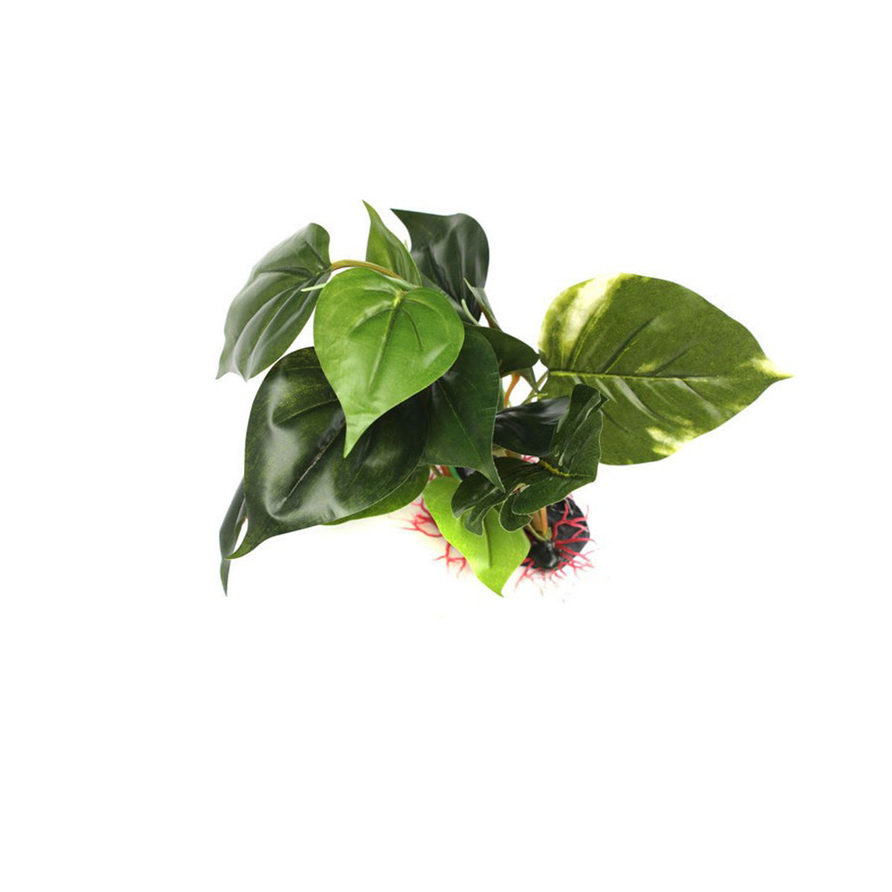 Fish Tank Artificial Plant Pre - đánh giá và giá Aquarium Fish Low Maintenance