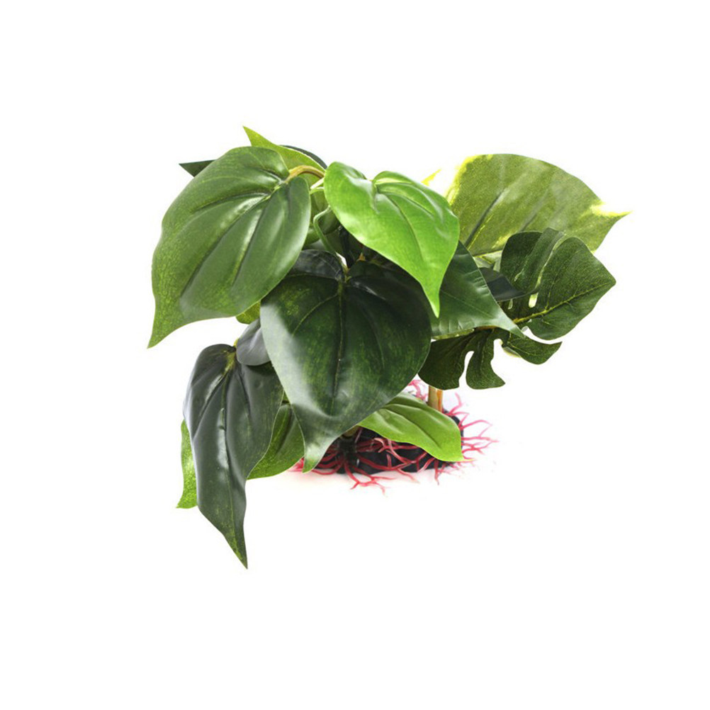 Fish Tank Artificial Plant Pre - đánh giá và giá Aquarium Fish Low Maintenance
