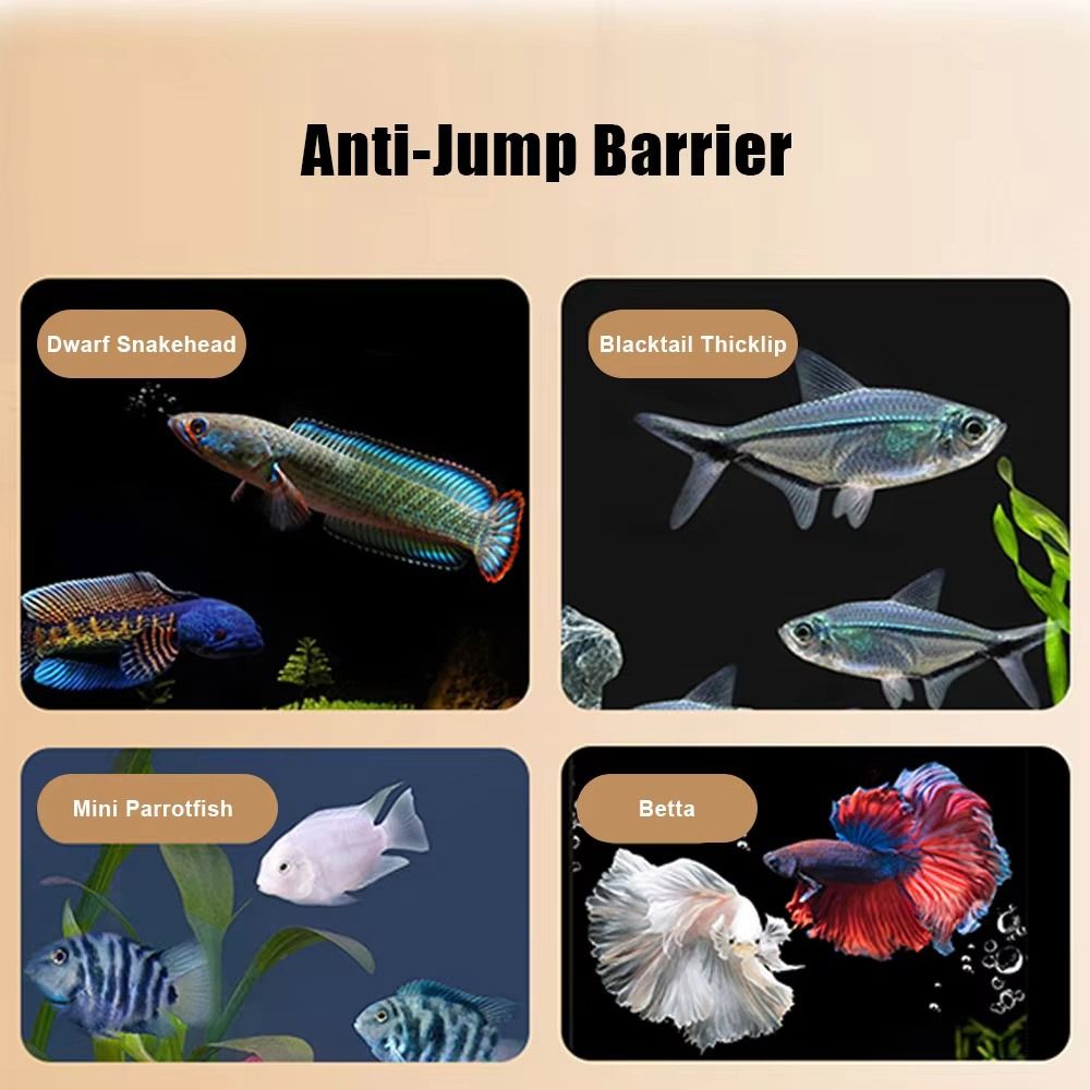Durable Magnetic Fish Tank Lid - đánh giá và giá Aquarium Fish Net