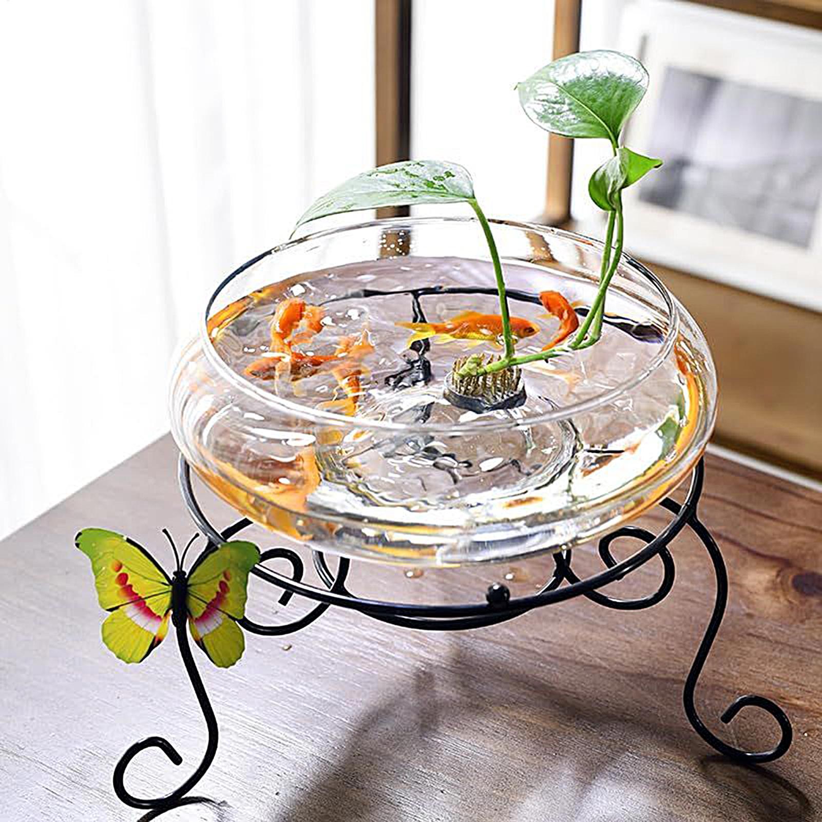 Fish Glass Bowl Glass Large Hy - đánh giá và giá Aquarium Fish Glass