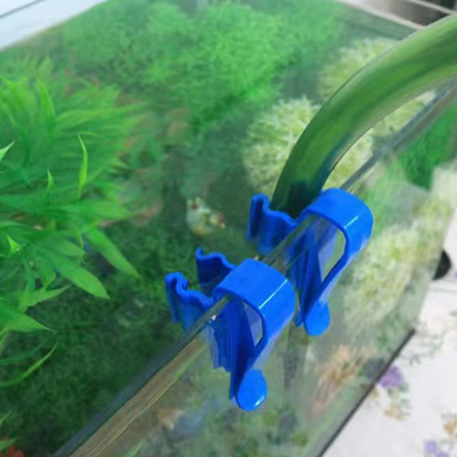 Aquarium Tube Holder Clip Fish - đánh giá và giá Aquarium Fish Glass