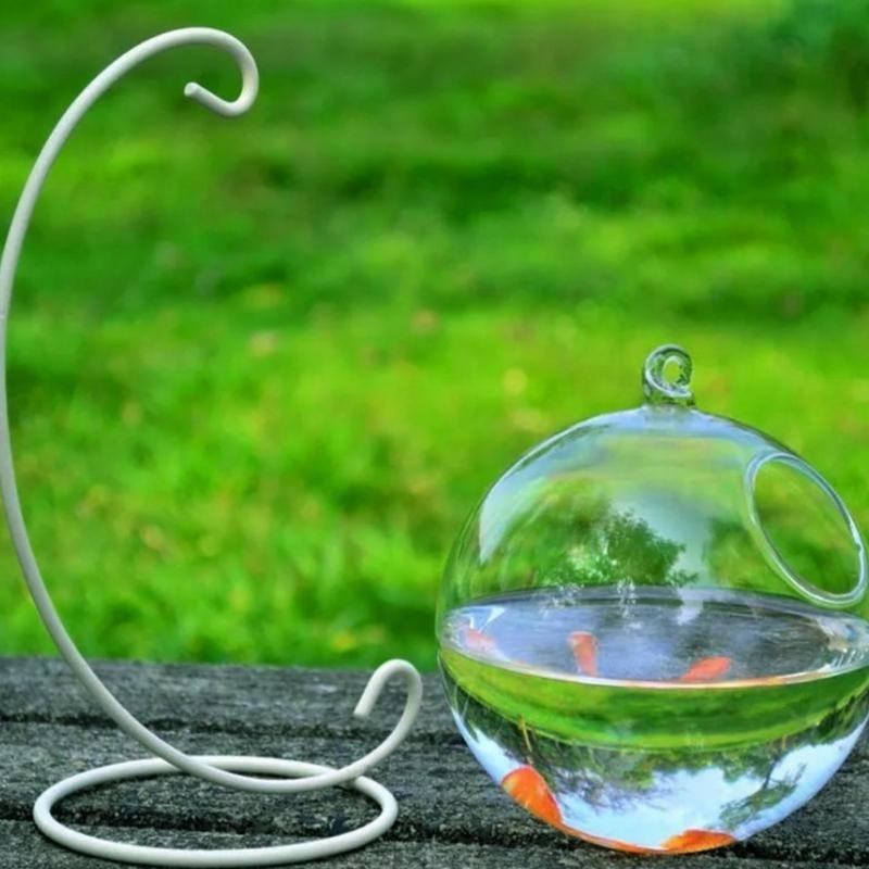 Transparent Spherical Glass Ha - đánh giá và giá Aquarium Fish Glass