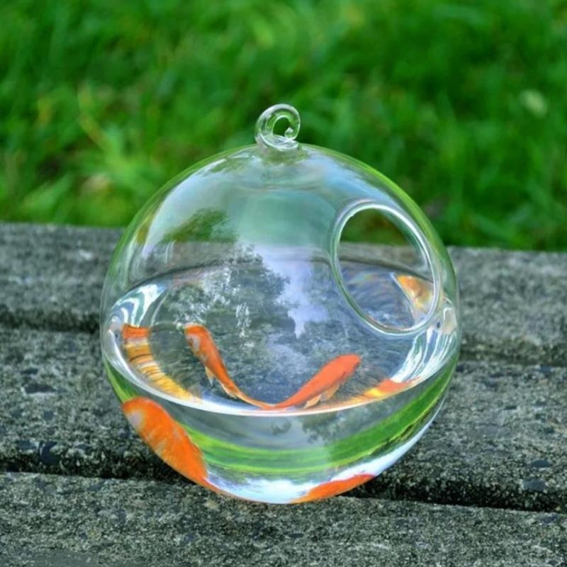 Transparent Spherical Glass Ha - đánh giá và giá Aquarium Fish Glass