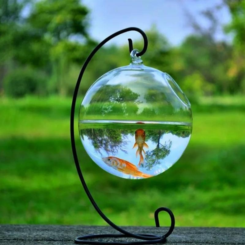 Transparent Spherical Glass Ha - đánh giá và giá Aquarium Fish Glass