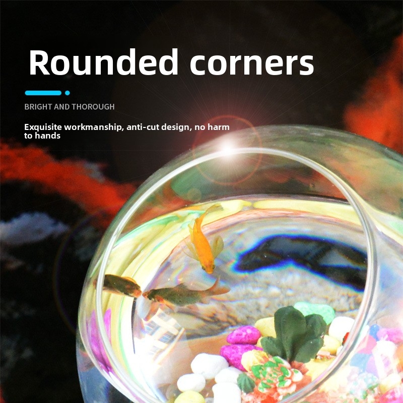 Mini Desktop Aquarium for Bett - đánh giá và giá Aquarium Fish Low Maintenance