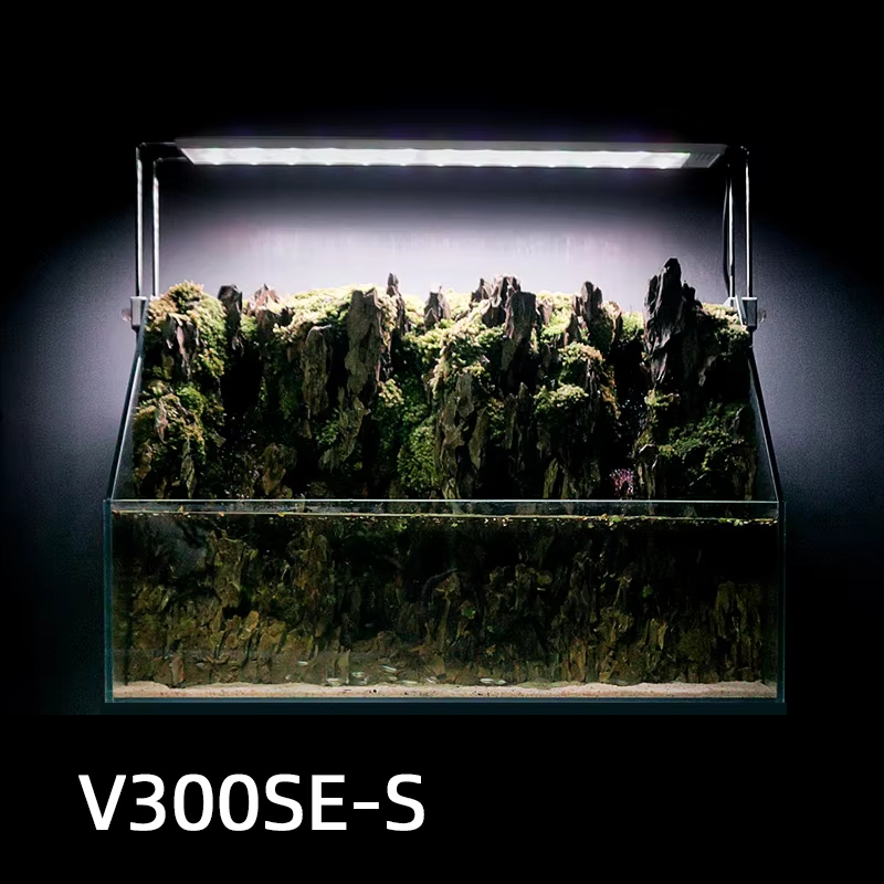 V300SE Best Price 30 40cm Fres - đánh giá và giá Aquarium Fish And Price