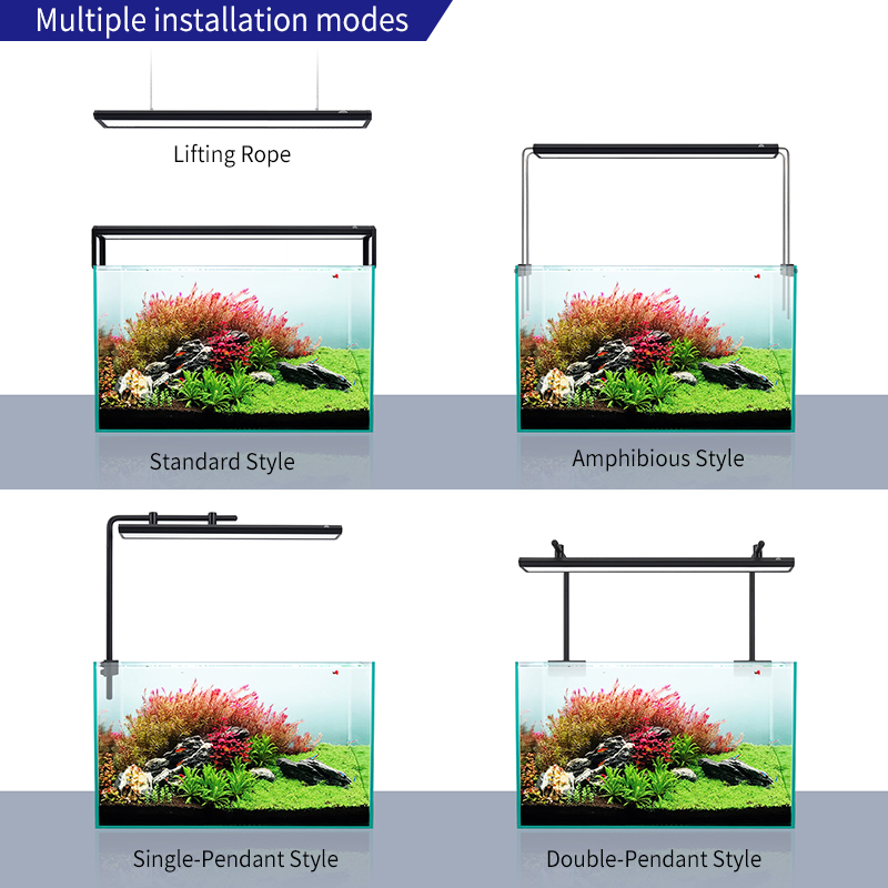 V300SE Best Price 30 40cm Fres - đánh giá và giá Aquarium Fish And Price