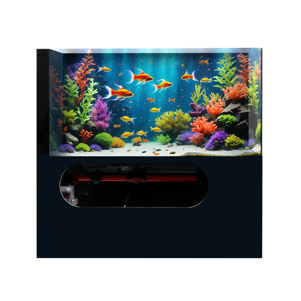 Factory Price Ecological Deskt - đánh giá và giá Aquarium Fish And Price