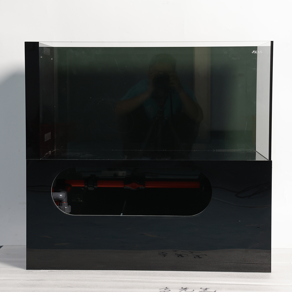 Factory Price Ecological Deskt - đánh giá và giá Aquarium Fish And Price