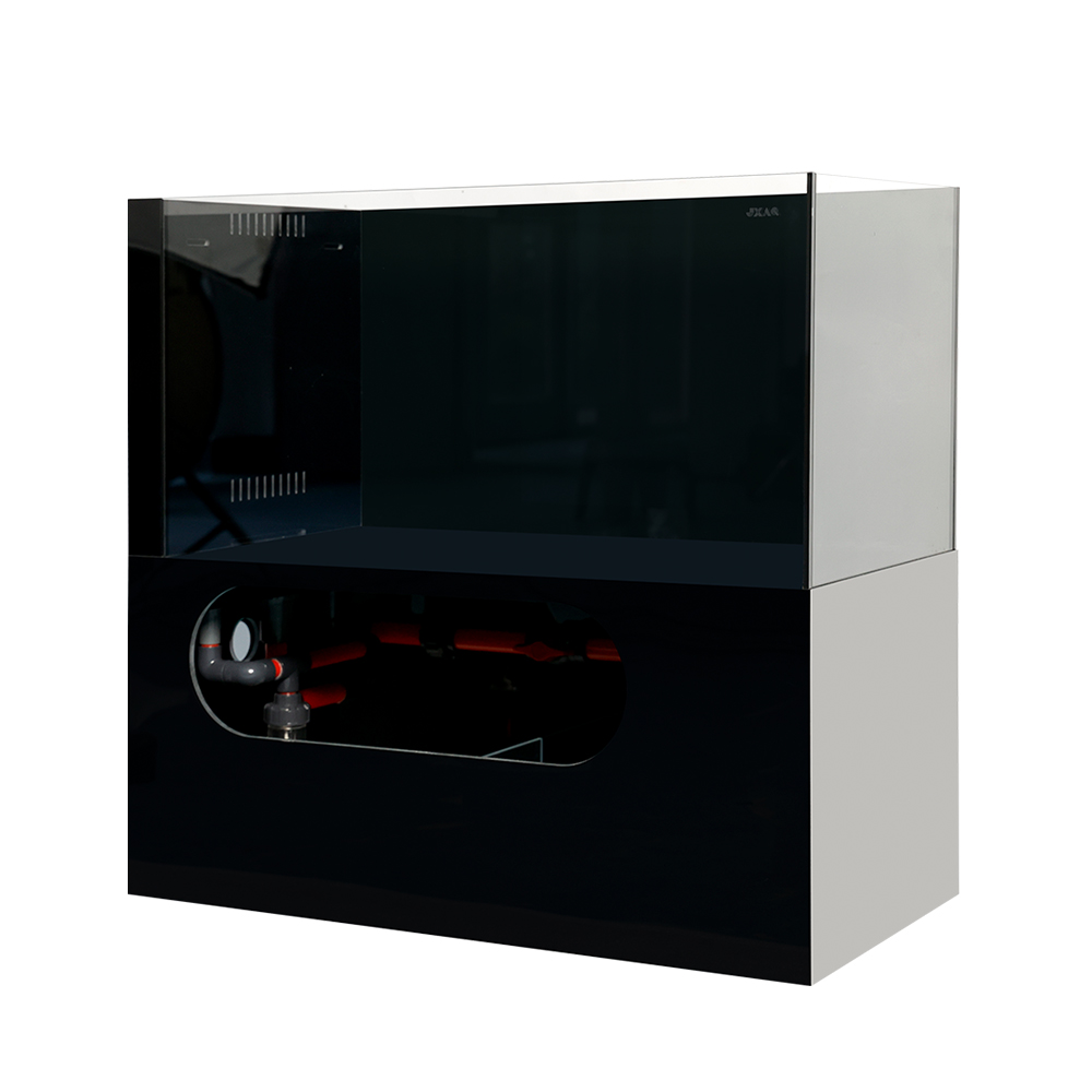 Factory Price Ecological Deskt - đánh giá và giá Aquarium Fish And Price