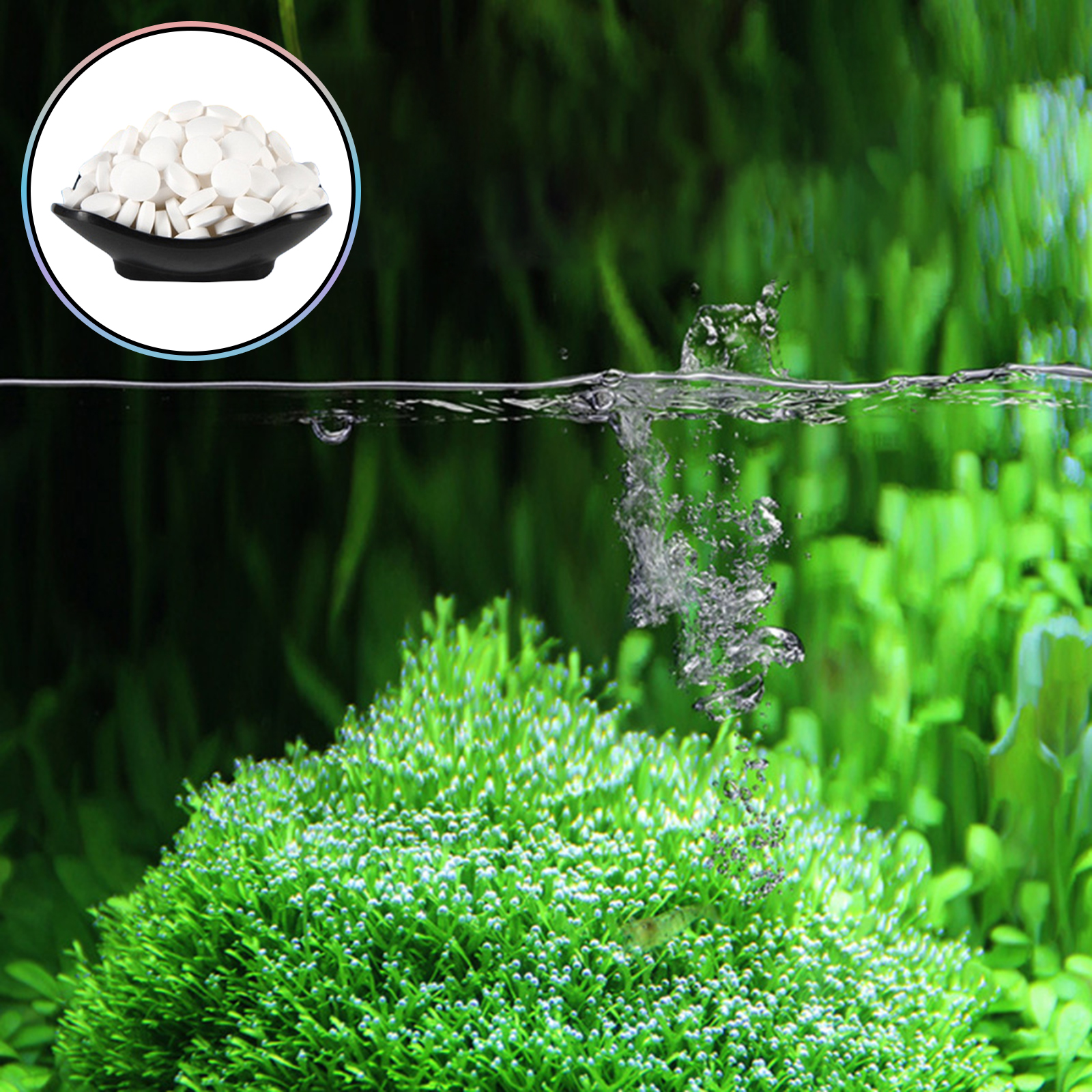 150 Tables Aquarium Algae Clea - đánh giá và giá Aquarium Fish Green