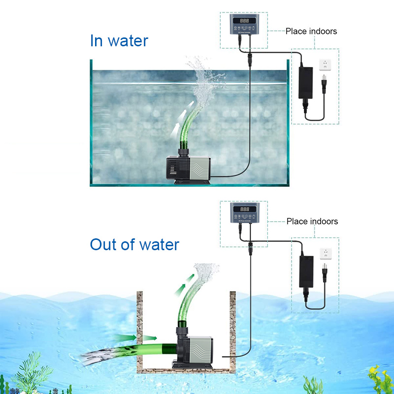 Factory Direct Wholesaler Pric - đánh giá và giá Aquarium Fish And Price