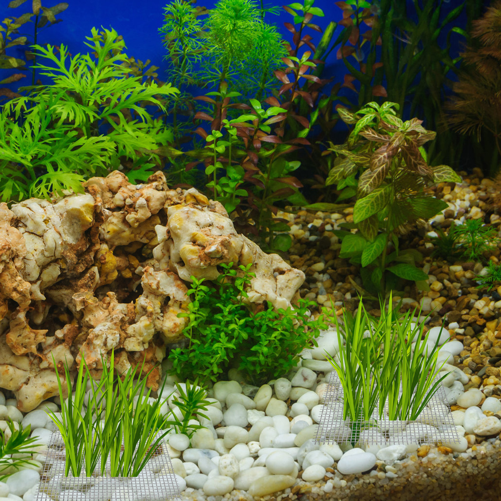 15Pcs Stainless Steel Moss Mes - đánh giá và giá Aquarium Fish Low Maintenance