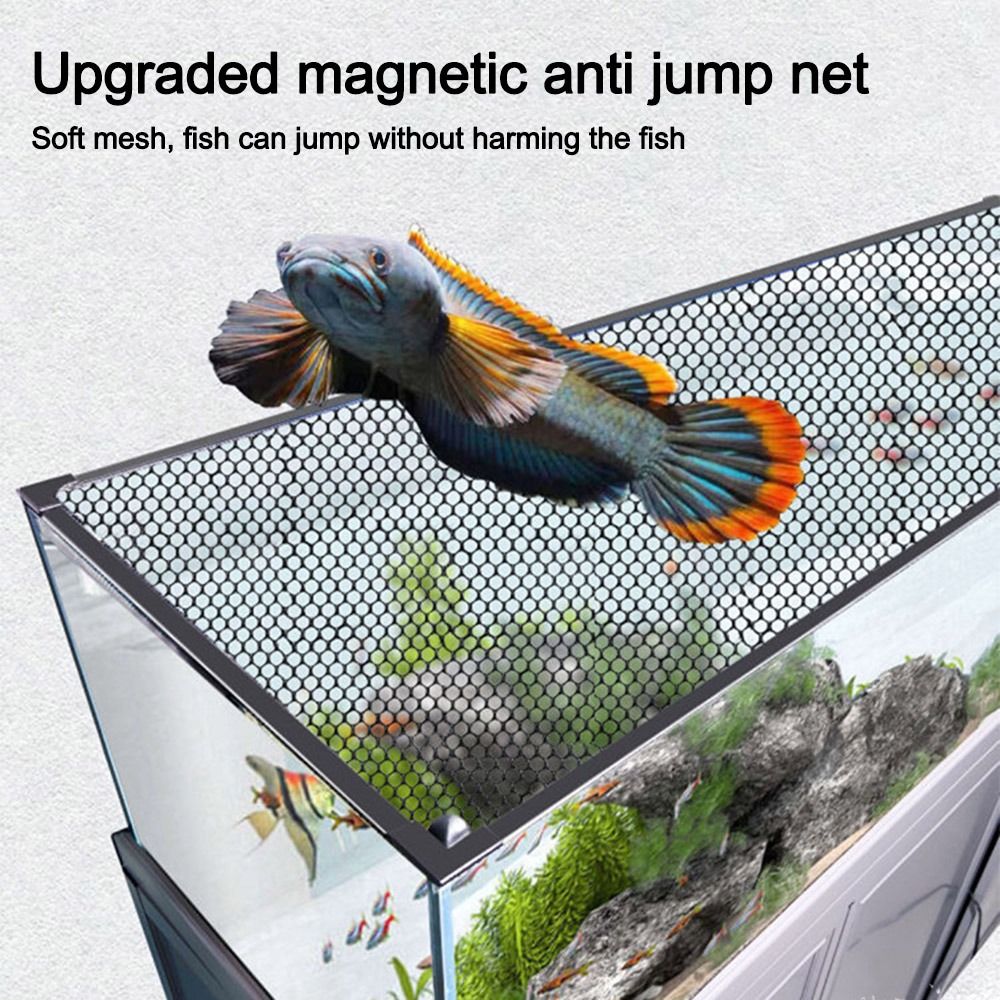 Sturdy Magnetic Fish Tank Lid  - đánh giá và giá Aquarium Fish Net