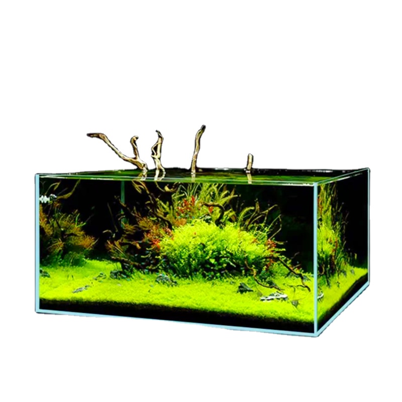 Right Angle Ultra-white Grass  - đánh giá và giá Aquarium Fish And Price