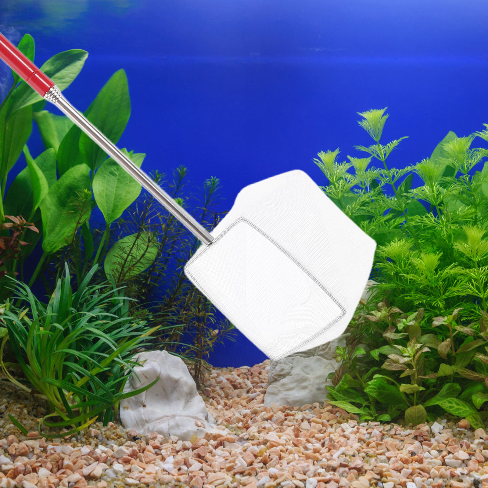 Telescopic Small Shrimp Net Ex - đánh giá và giá Aquarium Fish Net Small