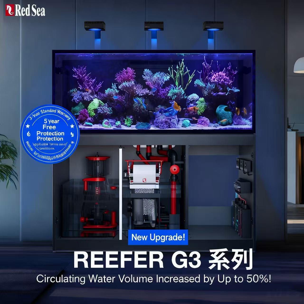 2026 Hot Selling Wholesale Pri - đánh giá và giá Aquarium Fish And Price