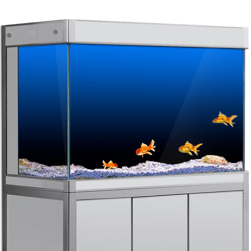 Fish Tank Background Sticker B - đánh giá và giá Aquarium Fish Green