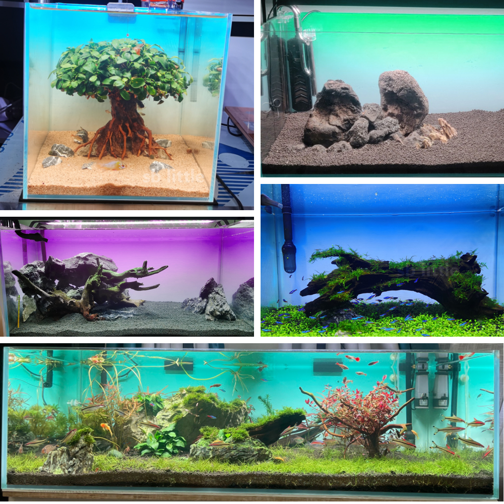 Fish Tank Background Sticker B - đánh giá và giá Aquarium Fish Green