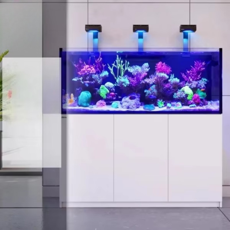 Modern luxury glass refrigerat - đánh giá và giá Aquarium Fish Restaurant