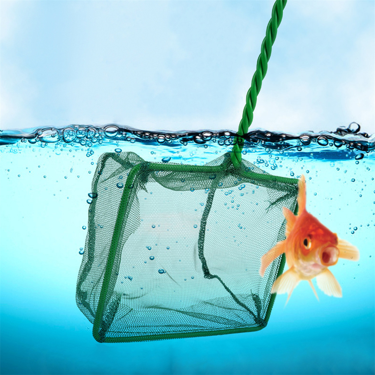 3~10 Inch Portable Nylon Green - đánh giá và giá Aquarium Fish Green
