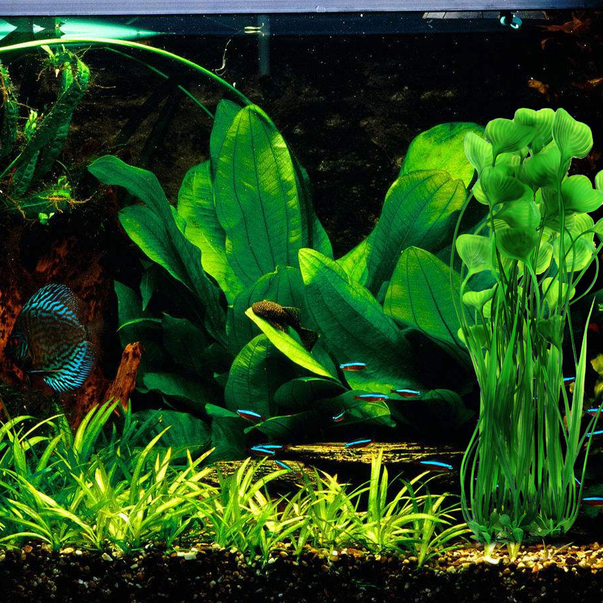 Artificial Aquarium Plants Gre - đánh giá và giá Aquarium Fish Low Maintenance